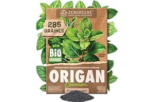 ZenGreens® – Graines de origan bio - Graines d'herbes aromatiques à cultiver facilement au jardin, sur le balcon ou en cuisine – parfaites pour débutants