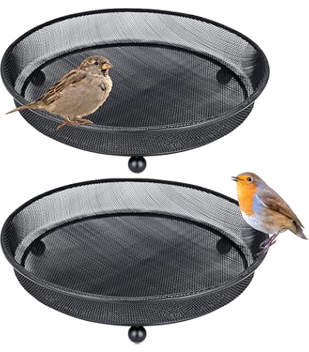 Bain d'oiseaux en étal vieilli birdy Bain d'oiseaux en étal vieilli birdy