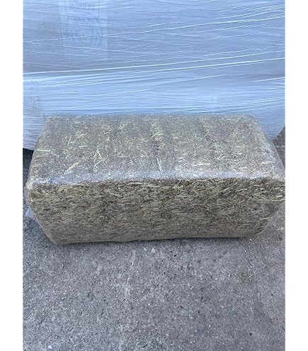 Balle De Foin Pour Chevaux 18-20 Kg – Qualité Supérieure, Peu Poussiéreuse, Idéale Allergies, Schleswig-Holstein - 4