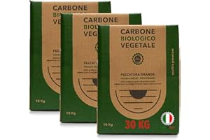 CLASSE ITALY CARBONE Biologico Vegetale di Legna di Leccio Italiano 30 kg | Carbonella/Carbone, Grill, Grigliata InstaGrill o Barbecue da Tavolo Senza Fumo, Nero