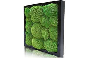 Naturewalls Parent- Moosbild KM (Schwarz, 25 x 25)