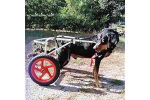 Cora Pet Sedia a Rotelle per Cane Carrellino Scooter Carrozzina per Cani,Adatto a Animali Domestici Disabili Piedi Gambe Posteriori Riabilitazione,Regolabile,2 Ruote