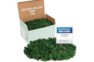 Mia Milano Mousse Naturelle décorative, pour Les crèche et Le Bricolage, en Plaque, réutilisable (Vert foncé, 250g)