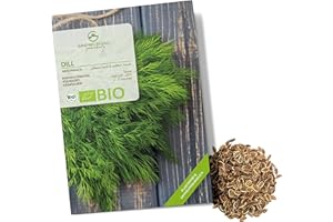 GROWGREENS Semi di aneto biologiche - Semi di erbe aromatiche da coltivare in cucina, sul balcone, sul orto rialzato e in giardino