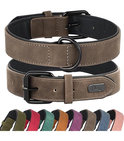 Lederhalsband Hund - Hundehalsband Aus Leder - Fun Line - Grün-Beige