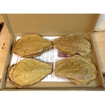 Corteccia Di Mandorlo Marino Catappa Bark (10 Pezzi, Circa 2x15 Cm) - Per Acquari, Effetto Naturale E Benefico