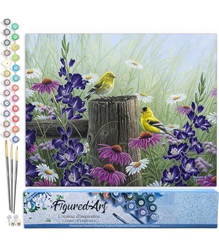 Kit Peinture Par Numéros Adulte - Fleurs Et Oiseaux 2 - Toile 40x50cm - Activité Anti-Stress
