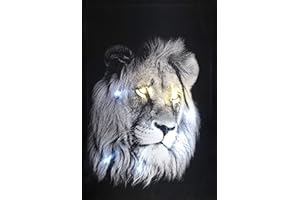 Samarkand - Lights LED-Bild mit Beleuchtung LED- Bilder Leinwandbild 65 x 45 cm Wandbild LÖWE Tiere
