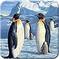 3D LiveLife Cork Coaster - Antarctic Majesty from Deluxebase. Lenticular 3D Cork Penguin Coaster. Non-slip drinks mat with original artwork licensed from renowned artist, Robert Hautman