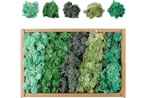 BDHYYM Lot de 5 mousses artificielles réutilisables - Pour le bricolage - Mousse islandaise - Pour bricolage et bricolage