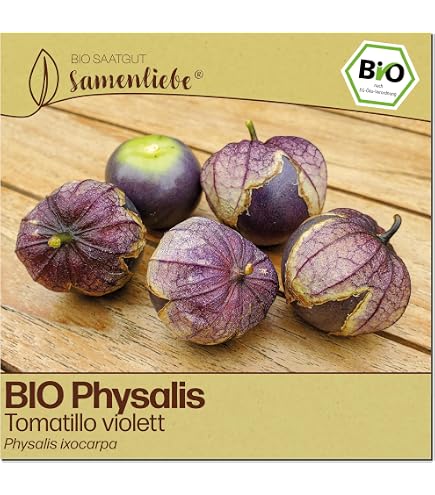 Samenliebe BIO Physalis Samen | Schnbrunner Gold - Andenbeere -  samenfestes BIO Saatgut : Amazon.de: Garten