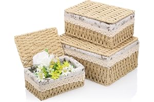 Starvortex Set di 3 Cestino Portaoggetti con Coperchio, Cestini Vimini Intrecciato a Mano, Cestini Lavabili con Fodera Rimovibile, Cestino Organizzazione per Cucina, Bagno