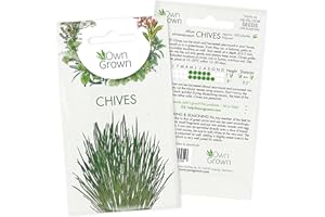 Chive Seeds (Allium schoenoprasum), Perennial Herb Plants for Planting Indoor and Garden, Grow Your own Chive Plant: Herb Seeds for About 400 Chive Plants by OwnGrown