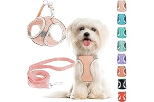 PERFFI Hundegeschirr Kleine Hunde mit Leine, kein Ziehen, verstellbar, reflektierendes, atmungsaktives Netzgewebe für extra kleine/kleine und mittelgroße Hunde, Katzen, Welpen (Rosa, M)