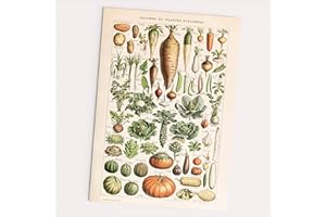 Follygraph Vegetales y Plantas POTAJERAS Cartel, Vintage Poster (30x40 cm)
