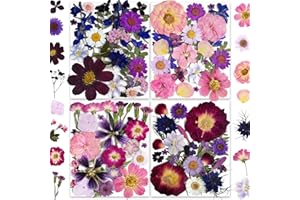 37 Types 143PCS Purple Dried Pressed Flowers with Butterfly Stickers - Youthbro Real Nature Flowers Set for Resin DIY Jewelry Candle Soap Vase Making Nail Card Scrapbook Art Craft Floral Decors