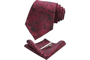 JEMYGINS Cravatta Uomo Paisley Design in Diversi Colori con Fazzoletto e Fermacravatta