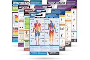 POSTERFIT Body Conditioning Gym Posters - Set of 7 Fitness Posters - Laminated Exercise Posters - EXTRA LARGE - 33” x 23.5” - Physical Training and Workouts - Includes Video Training Support