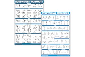 PALACE LEARNING QuickFit Body Weight & Stretching Exercise Poster Set - 2 Laminated Boards - for Body Weight Exercises and Stretching Exercises, Laminated, 18" x 27"