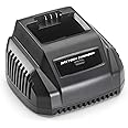 Mountfield 40V Standard Charger BS Plug, Black