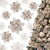 Gwhole Fiori per Albero di Natale Champagne 21 pezzi 3 Taglie Decorazioni Stelle Addobbi Ornamenti Natalizi per Casa Interno 