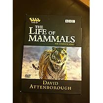 Life of Mammals [DVD]: Amazon.co.uk: David Attenborough