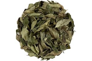 Curry Leaves Dried Organic Spice - Fresh Curry Leaf For Cooking - From India 100g