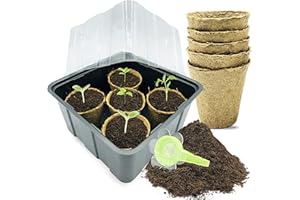 MOJOLIVING Anzuchtset Zimmergewächshaus Gewächshaus klein mit Anzuchtkasten Anzuchtschale Pflanzkasten Anzuchterde Kokoserde Aussaaterde Pflanzenerde 10x Anzuchttöpfe für Anzucht Samen Gemüse Kräuter Pflanzen