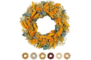 ‎HOLIKI Philaro Trockenblumenkranz Ø 28cm - kein Plastik I Trockenblumen Premium Qualität aus Europa - Wandkranz - Türkranz - Tischkranz – Deko - 6 Varianten - Orange