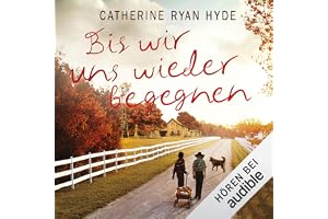 Bis wir uns wieder begegnen