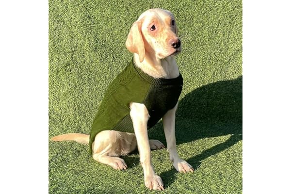 Lulala Turtleneck Dog Sweater, Dog Winter Clothes for Small Dogs Boy Girl, Warm Dog Sweater for Small Dog (Green-20 Inch)