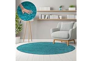 HomebyHome Alfombra Salon Peludo de Pelo Largo Turquesa 120 cm Redondo - Alfombras de Habitacion Sala de Estar Modernas Suave y Esponjoso - Alfombras Dormitorio Moqueta Cocina Redondo