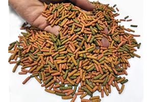 SUPER AQUARIUM LTD (200g) Premium Turtle, Terrapin, Reptile Pellets Food, Water, Aquatic, Mud Turtle Food