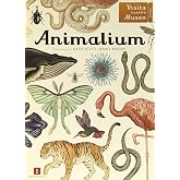 Animalium