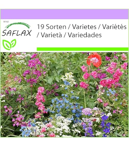 Blumenmischung Schattenblumen Ein- Und Mehrjährig 30 Cm Saatgut - Foto 5