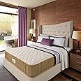 Springfit Pro Activ Back Dual Comfort Medium Soft & Hard Ortho Bed Mattress 6 Inch- Mattress Queen Size Bed (78x66x6 Inch, Orthopedic Smart Mattress)