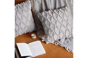 Pagnanno. Set of 2 Soft Velvet Cushion Covers 45x45cm(18x18 Inches) Fluff Throw Pillowcases Square Cushion Covers for Chairs,living room,bedroom with Invisible Zipper (18"x18" (Pack of 2), Light Grey)