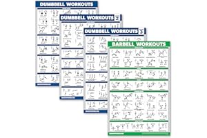 Palace Learning 4 Stück – Hantel-Workout-Poster Band 1, 2 und 3 + Langhantel-Übungstabelle – Set mit 4 Postern (laminiert, 45,7 x 61 cm)