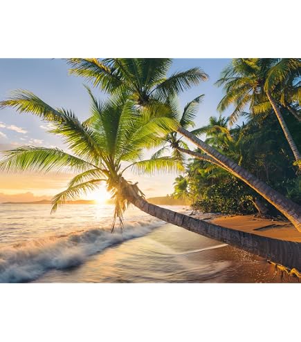 Ravensburger - Puzzle 1000 Pezzi, Spiaggia Phra Nang, Krabi Thailandia Puzzle Paesaggi Puzzle Per Adulti Puzzle Ravensburger Stampa Di Alta Qualita 0 0