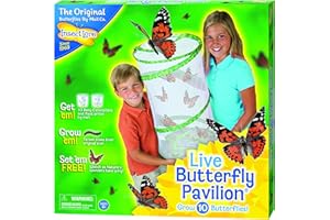 Insect Lore - Elevage de Papillons - Modele pavillon