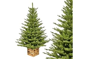 ‎TREESHOUSE Premium Künstlicher Weihnachtsbaum 210 cm I Künstlicher Tannenbaum mit Holzkisten-Ständer I Zweige Imitieren Echten Baum I Mix aus Spritzguss & PVC I Dichte Nadeln I Tasche Inklusive I Made in EU