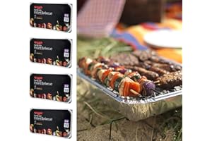 HOLLAND PLASTICS ORIGINAL BRAND 4 X FAMILY SIZE INSTANT DISPOSABLE BBQ- EACH PACK COOKS FOR TEN!