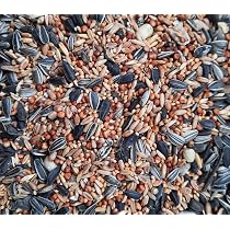 Agrarzone Vogelfutter 20 Kg - Ganzjähriges Wildvog Produktbild-Vorschau 13