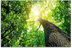 AUGENBLICKE WANDBILDER 120x80cm - Fotodruck auf Leinwand und Rahmen Baumkrone Wald Sonnenstrahlen Natur - Leinwandbild auf Keilrahmen modern stilvoll - Bilder und Dekoration
