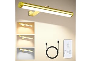 CANMEIJIA Bezprzewodowa lampa do zdjęć z pilotem zdalnego sterowania, 2 w 1, możliwość ponownego ładowania, z 3 trybami oświetlenia, 45 cm, bezprzewodowa lampa LED do malowania