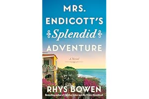 Mrs. Endicott's Splendid Adventure: A Novel