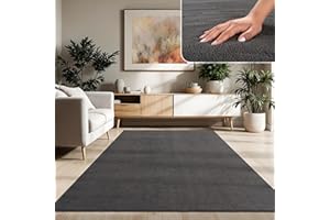 Paco Home Tapis Moderne Doux Salon À Poils Courts Lavable Fluffy Uni Effet Fourrure Intemporel Élégant Antidérapant Facile À Entretenir, Dimension:160x220 cm, Couleur:Anthracite