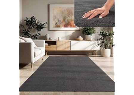 Paco Home Matta för vardagsrum enkel tvättbar mjuk kort hög, Storlek:300x400 cm, Färg:Antracit - Amazon Deal & Rabatt