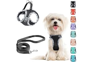 PERFFI Hundegeschirr Kleine Hunde mit Leine, kein Ziehen, verstellbar, reflektierendes, atmungsaktives Netzgewebe für extra kleine/kleine und mittelgroße Hunde, Katzen, Welpen (Schwarz, XXS)