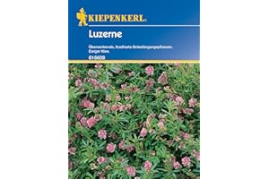 Kiepenkerl Gründünger, Luzerne, 50 g,616608 - Überwinternde, frostharte Gründüngungspflanzen - Ewiger Klee - Inhalt für 25 qm - Saatgut, Pflanzen